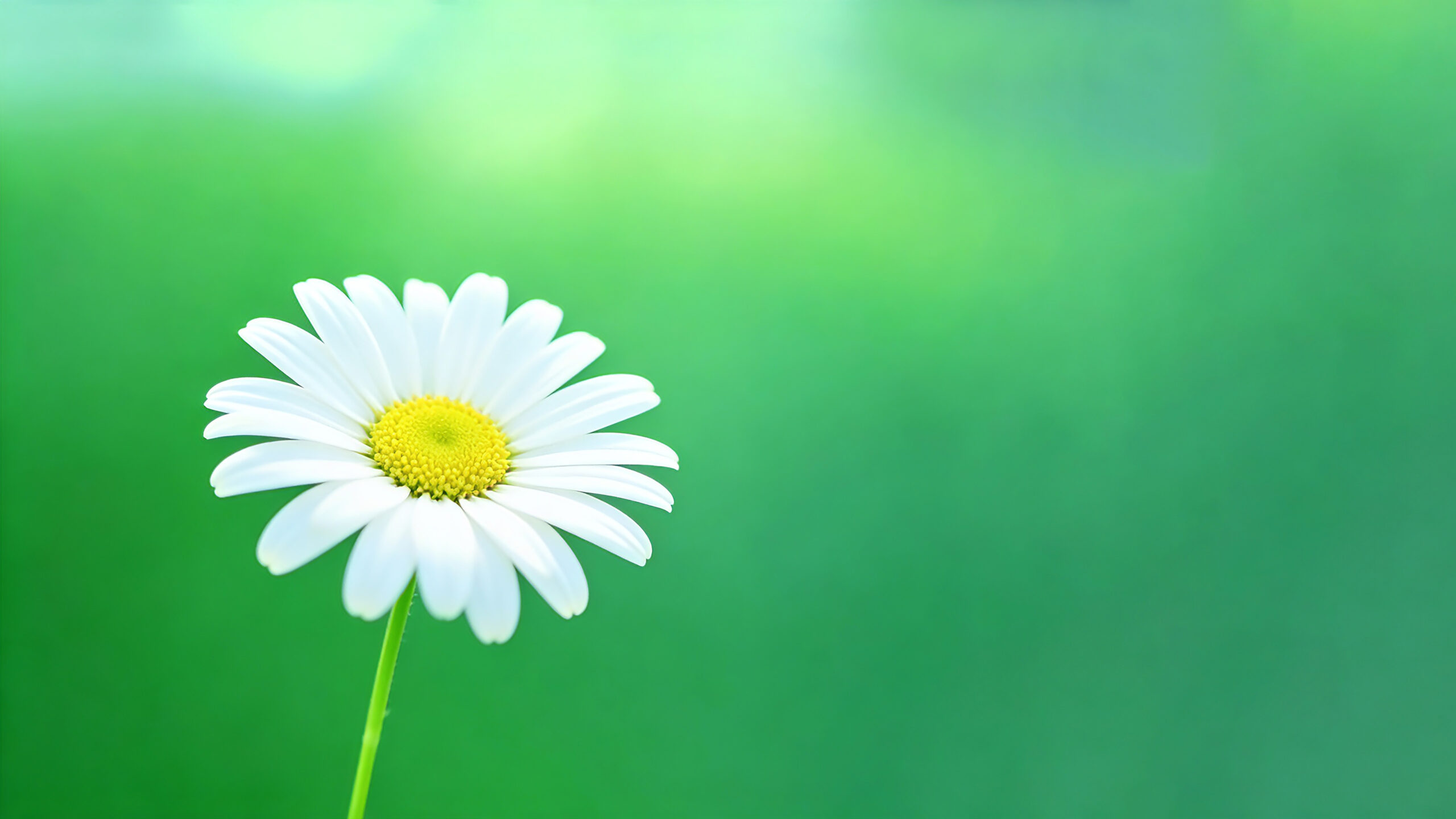 20251205141141679-未标题-4