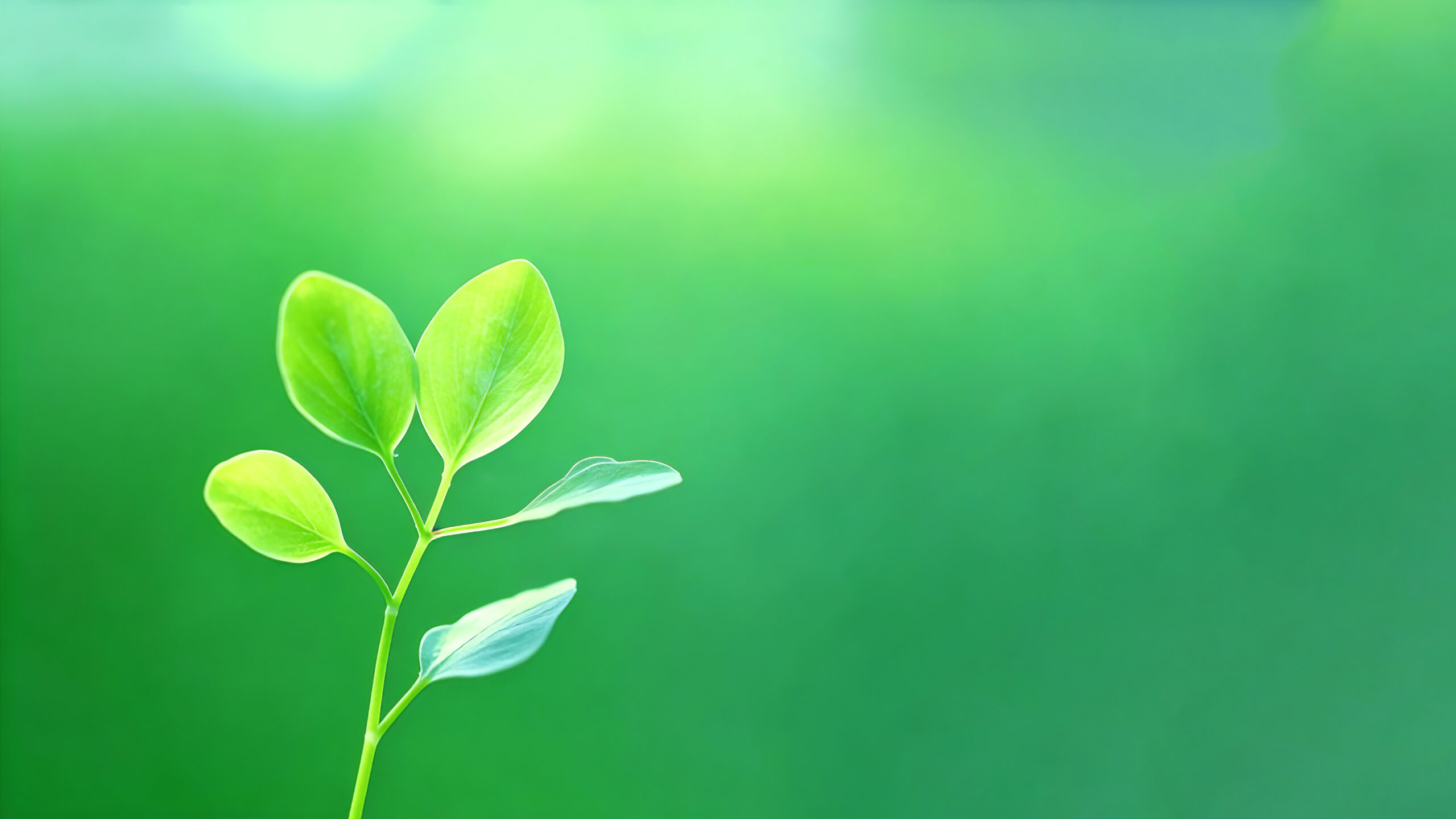 20251205141142145-未标题-5