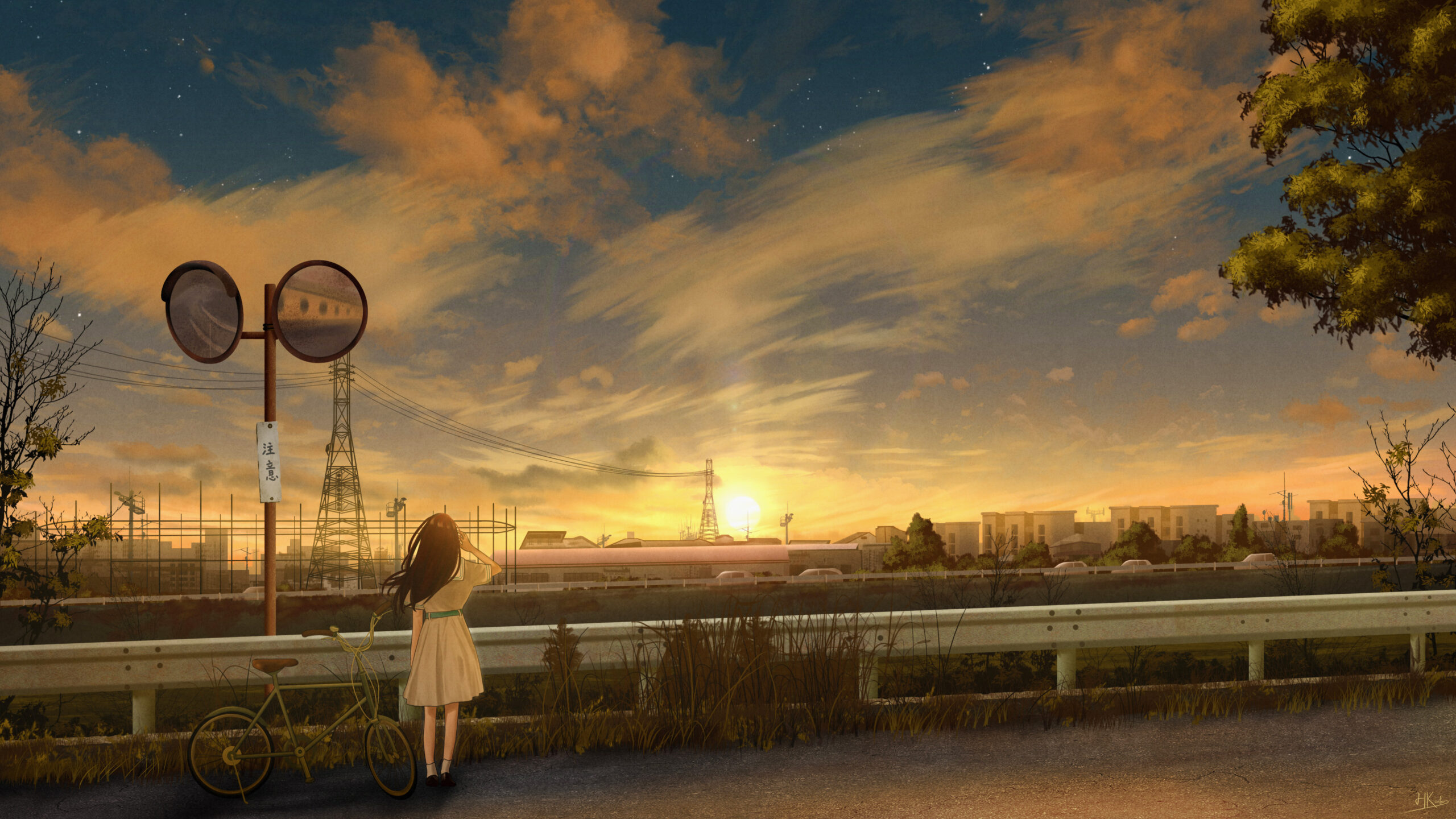 2160P唯美好看的二次元风壁纸5枚-科技美南博客