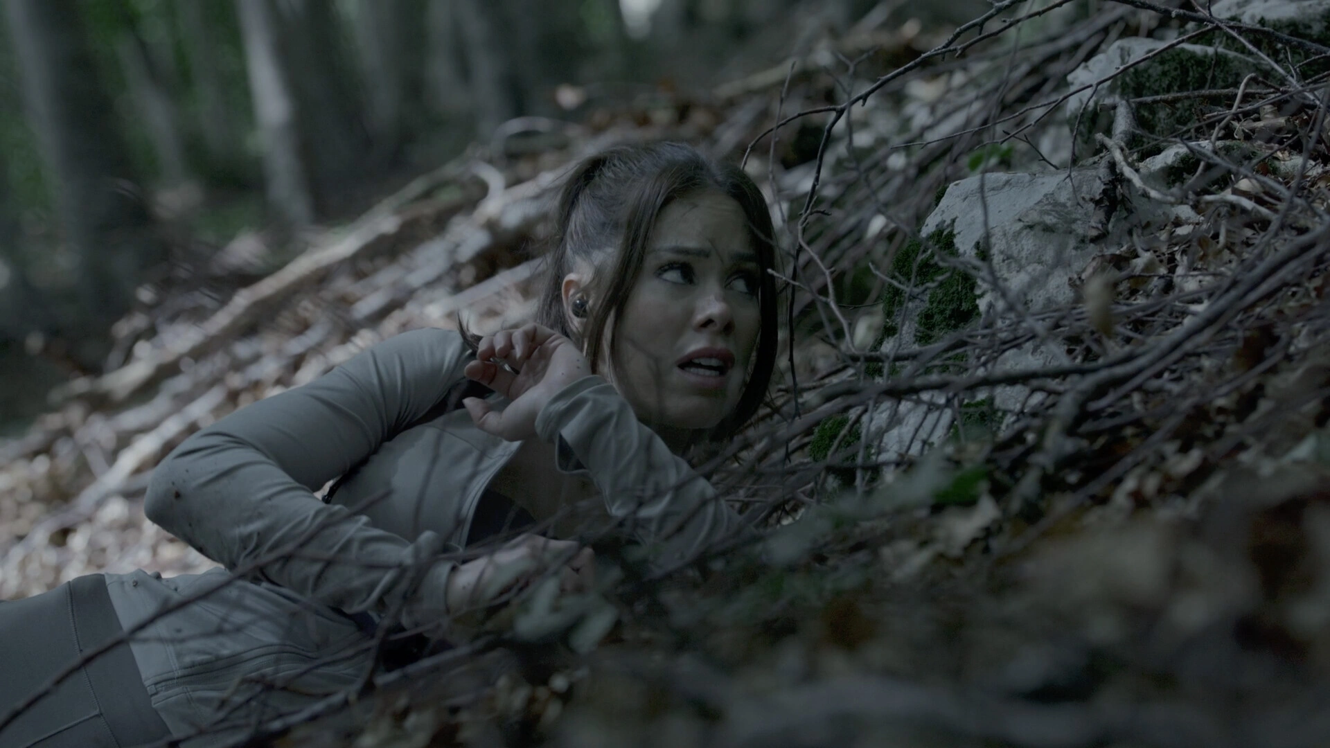 奔跑/The Run-科技美南博客