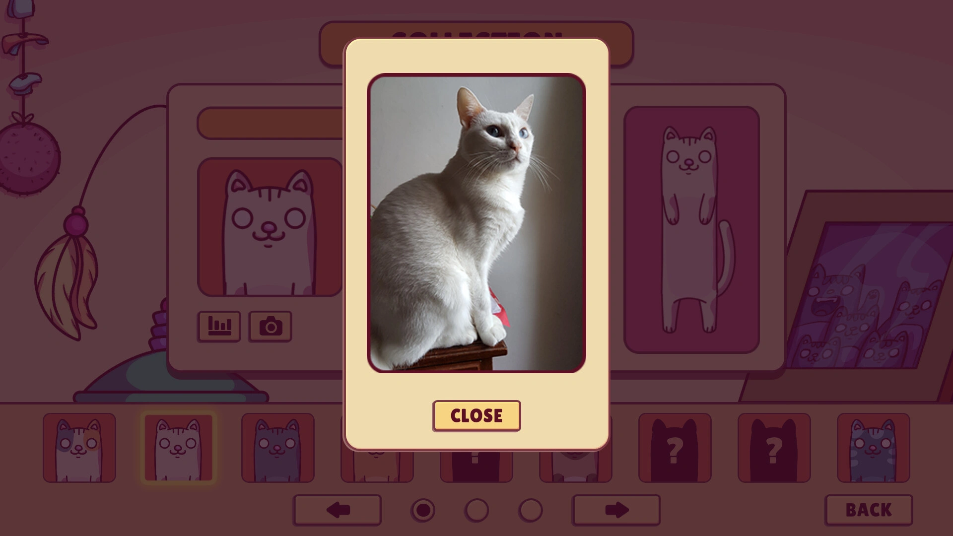 蓬戈/Pungo 蓬戈/Pungo