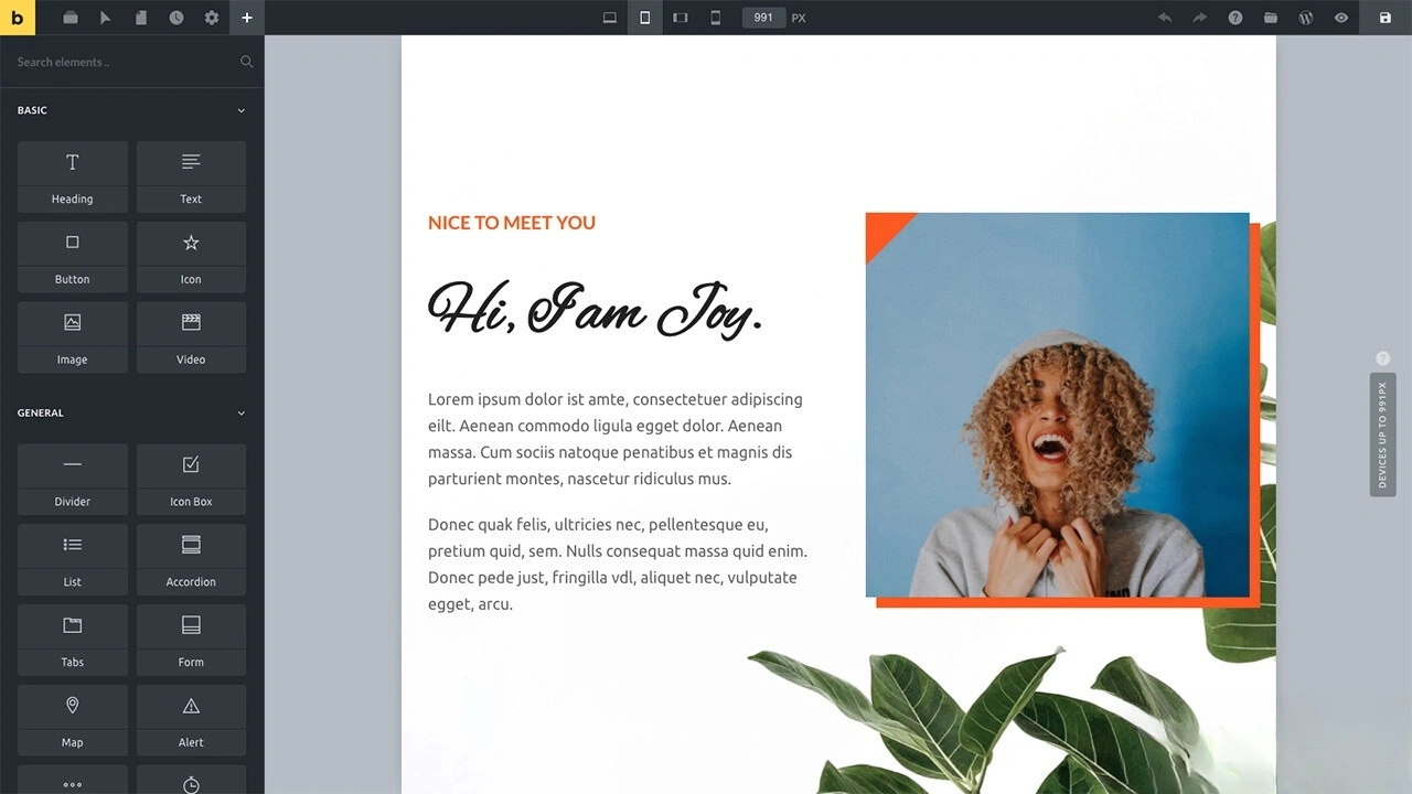 WordPress主题Bricks v1.9 破解版-科技美南博客