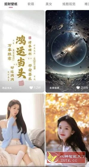 牛牛小组件1.5.10高级版-科技美南博客
