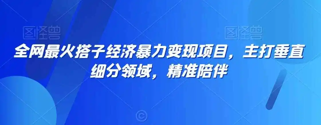全网最火搭子经济暴力变现项目，主打垂直细分领域，精准陪伴【揭秘】-科技美南博客