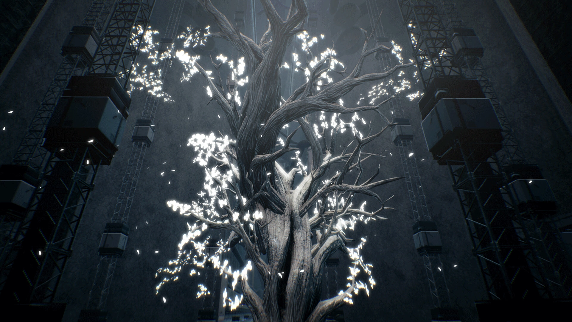 玩偶之巢/Dolls Nest-科技美南博客