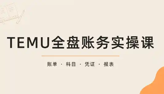 TEMU全盘账务实操课:账单导出、科目设置、利润核算-科技美南博客