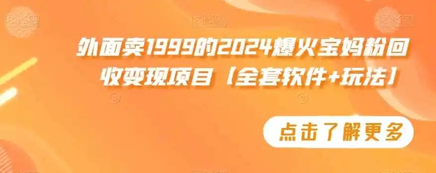 外面卖1999的2024爆火宝妈粉回收变现项目【全套软件+玩法】【揭秘】-科技美南博客