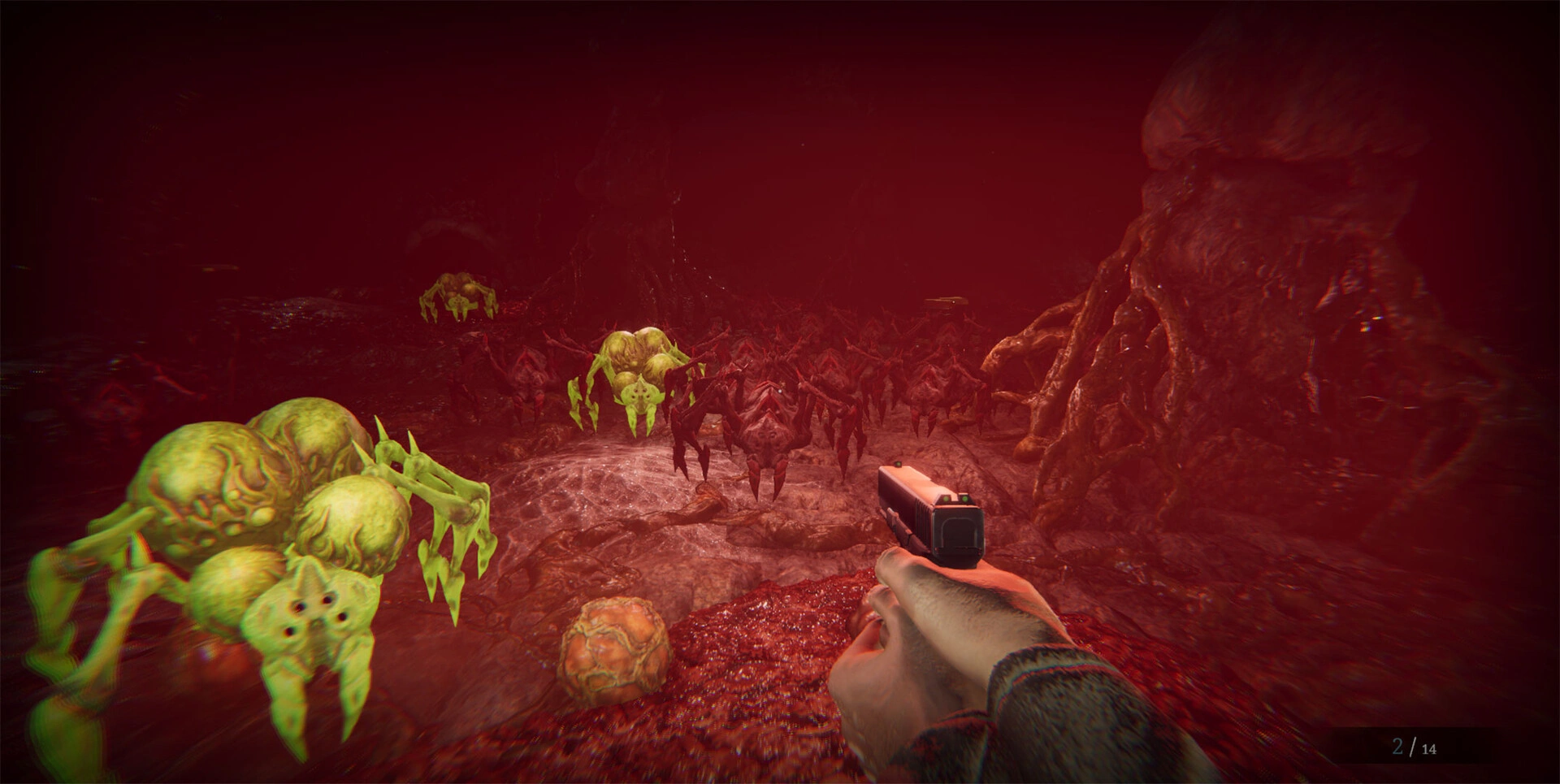 Morphos-科技美南博客