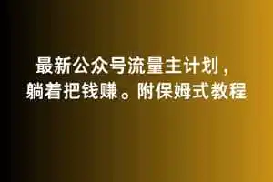 2月最新公众号流量主计划，躺着把钱赚，附保姆式教程【揭秘】-科技美南博客