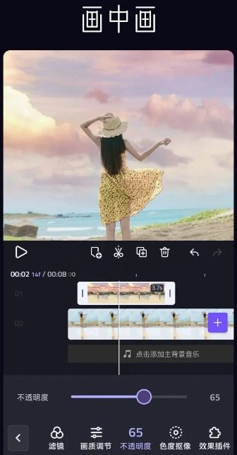 VivaCut视频编辑 v4.4.9高级版-科技美南博客
