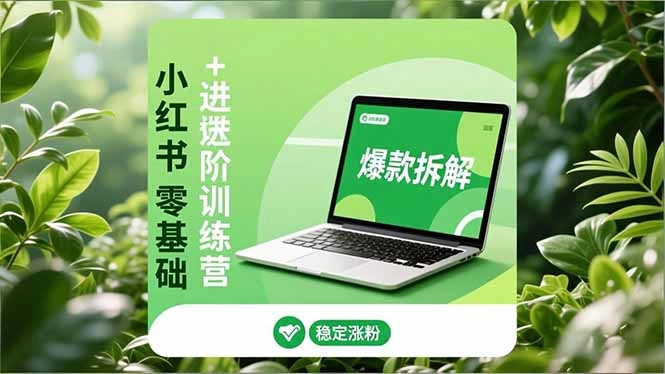 小红书零基础+高阶训练营：安全养号、爆款拆解、长效运营，实现稳定涨粉与变现-科技美南博客