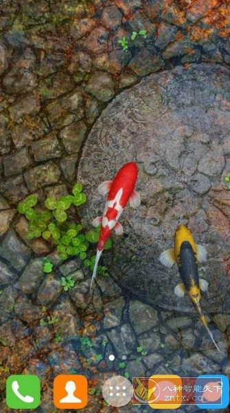 Water Garden Live Wallpaper 锦鲤3D动态壁纸2.08专业版-科技美南博客