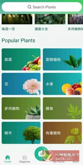 PictureThis 植物识别v5.25.0专业版-科技美南博客