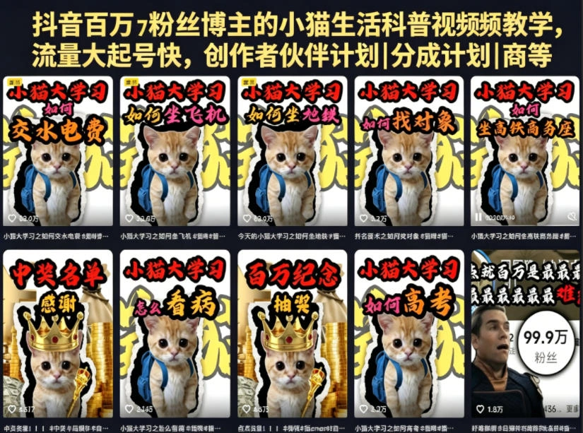 抖音百万粉丝博主的小猫生活科普视频教学，流量大起号快，创作者伙伴计划|分成计划|商单|收徒等-科技美南博客