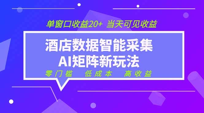 2026酒店数据采集ai智能矩阵新风口 低成本 高收益 当天见收益 单窗口20+-科技美南博客