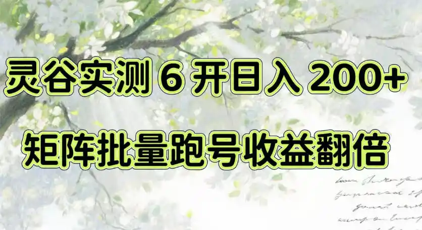 一台电脑就能做！灵谷实测6开日入200+，矩阵批量跑号收益翻倍【揭秘】-科技美南博客