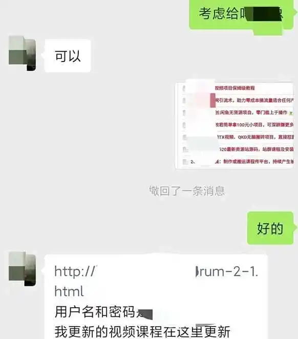 小彬网虚拟资源网站培训课程,如何一个月快速做出盈利的资源网站(实打实经验)