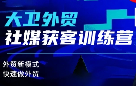大卫老师·外贸社媒获客独家训练营(更新4月)-科技美南博客