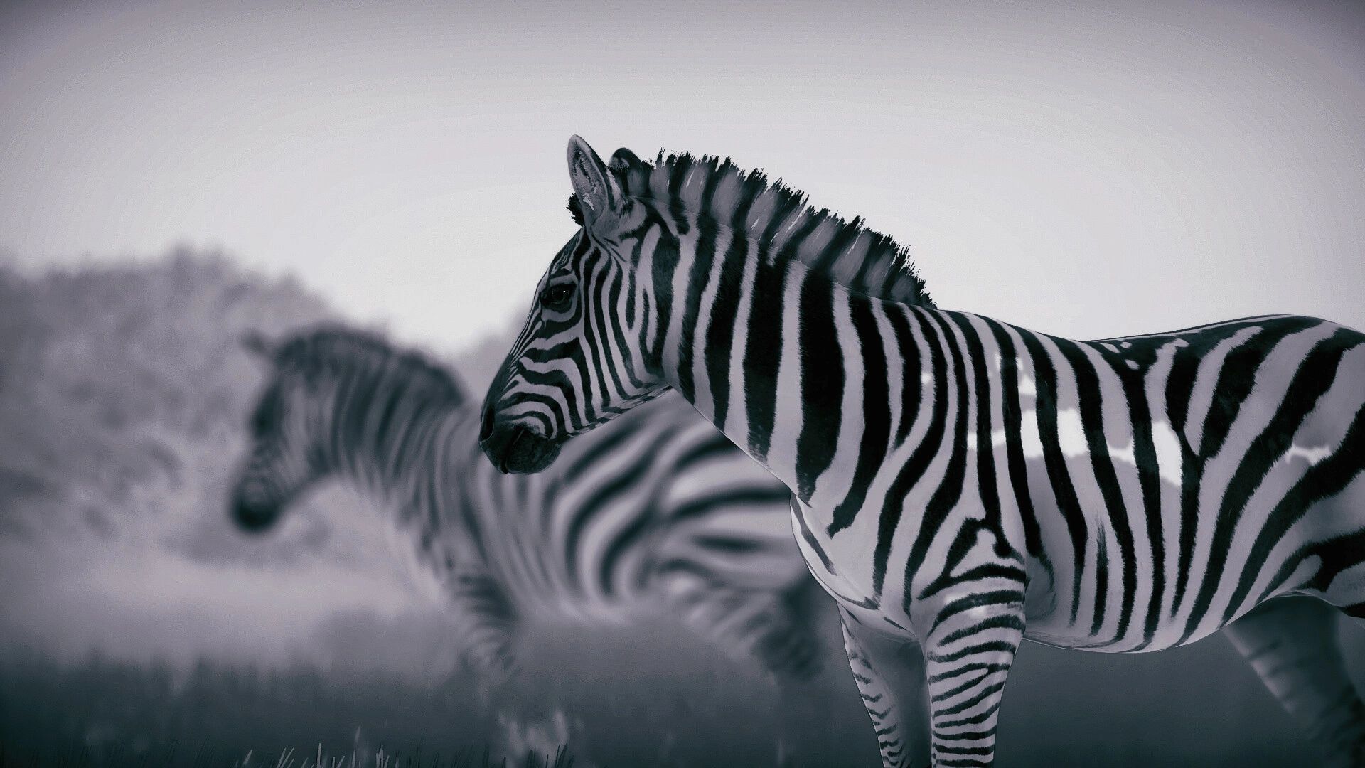 幽居之境/Seclusa 幽居之境/Seclusa