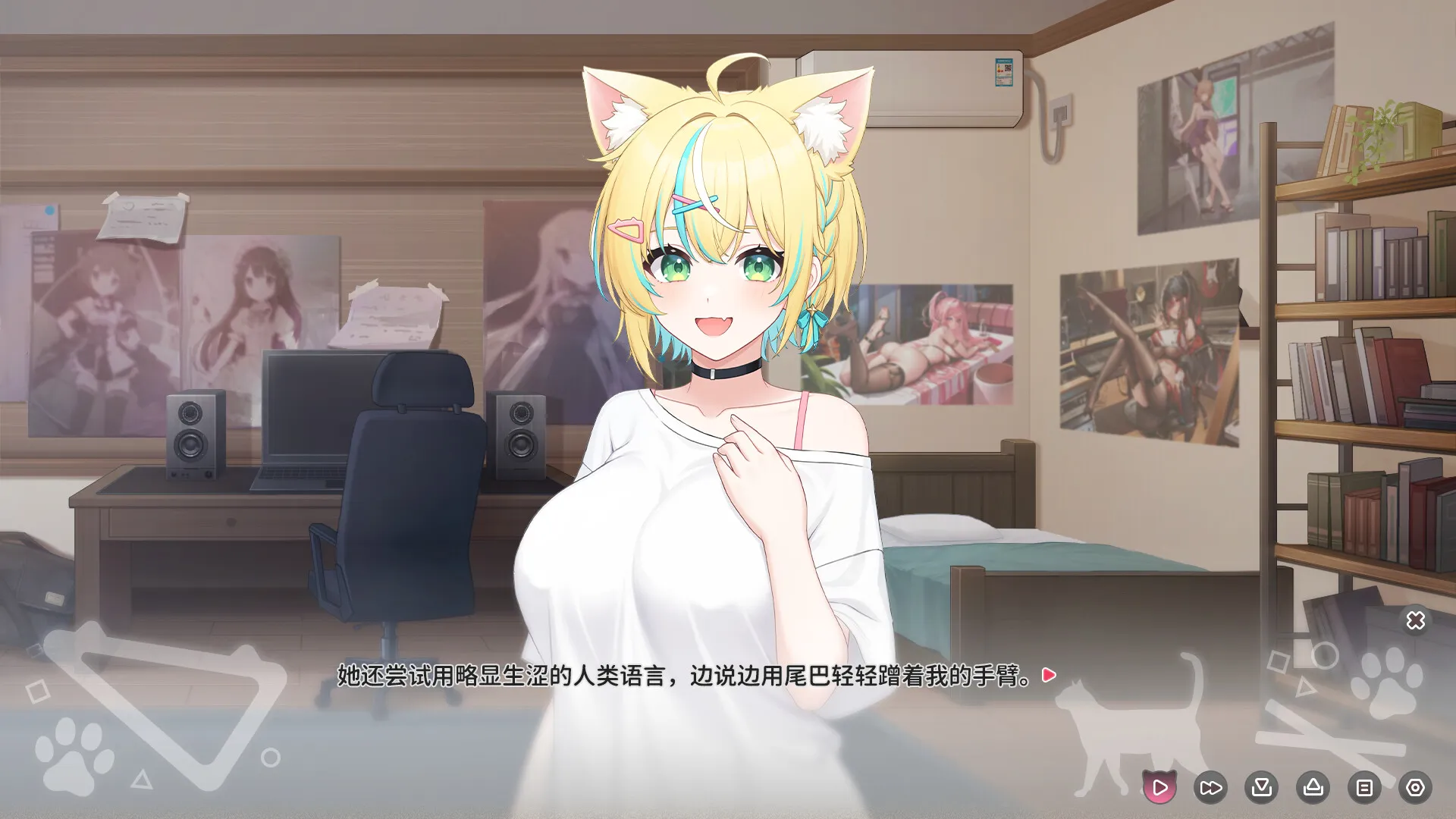 猫愿日记/Neko Diary-科技美南博客