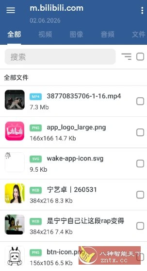 GetThemAll全能下载器3.6.5-科技美南博客