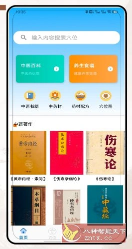 穴位经络图谱-科技美南博客