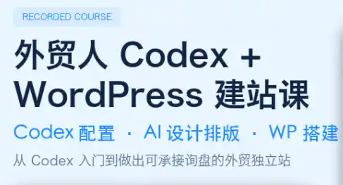 大卫·外贸人Codex + WordPress建站课(更新8月)-科技美南博客