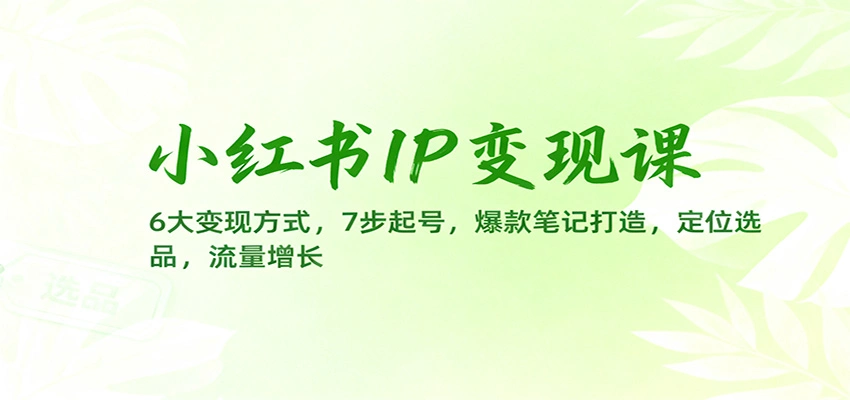 小红书IP变现课:6大变现方式,7步起号,爆款笔记打造,定位选品,流量增长-科技美南博客