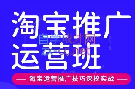 美迪电商·淘宝高级运营班+推广运营班(更新9月)-科技美南博客