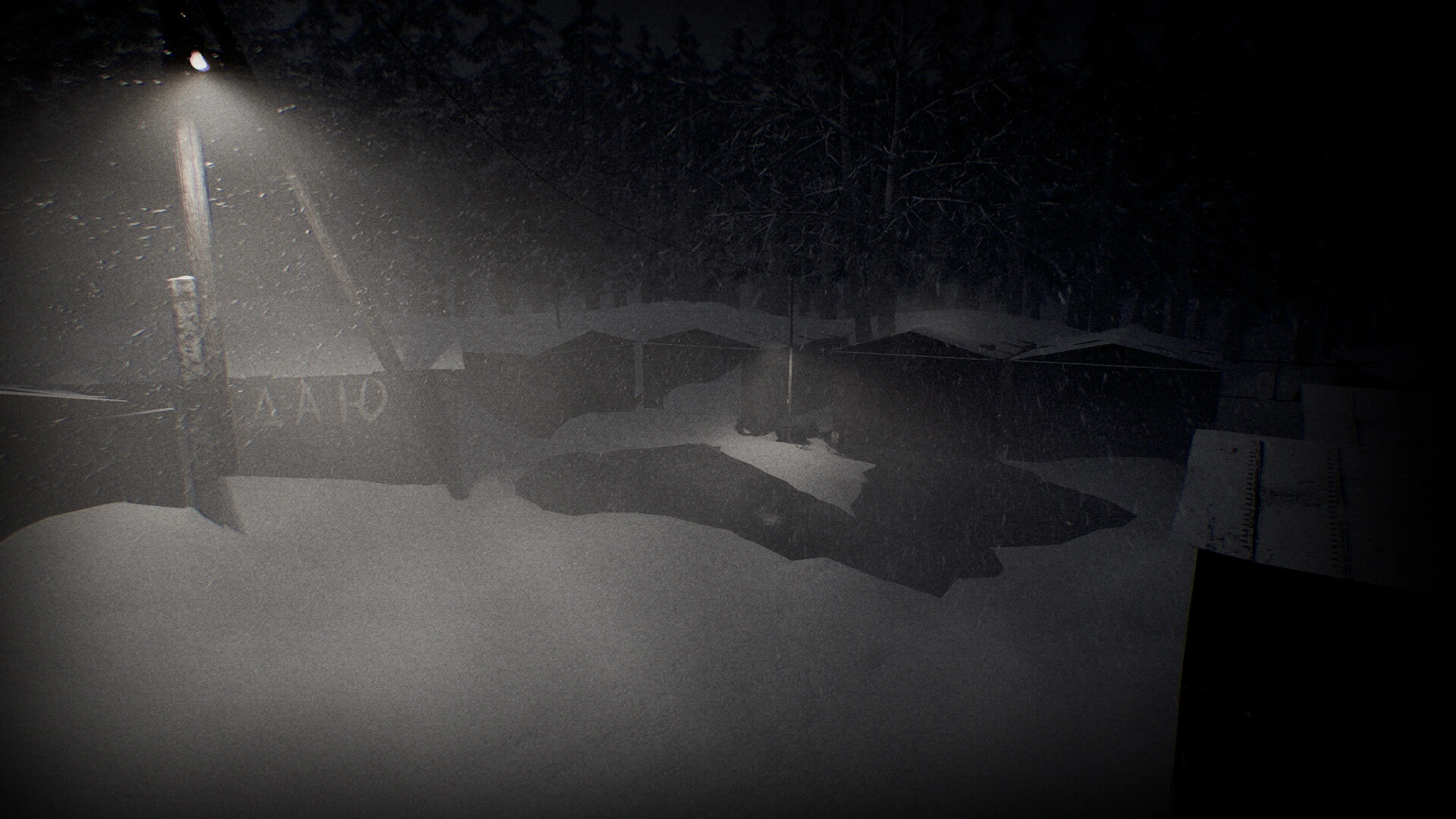 苍白沉寂/White Silence 苍白沉寂/White Silence