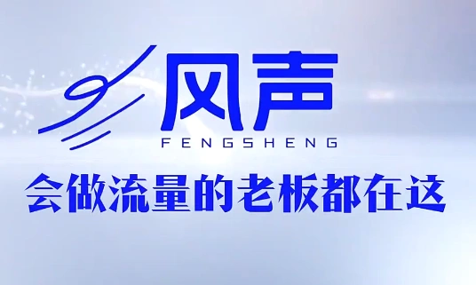 董十一·风声短视频AI获客年度会员-科技美南博客