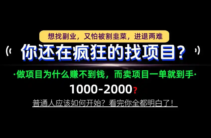 你还在疯狂的找项目？别傻了！卖项目才是真正的一本万利！怎么做，看完你全都明白！【揭秘】-科技美南博客