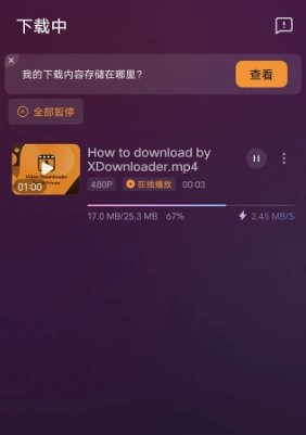 X Downloader X下载器v2.3.6 高级版-科技美南博客
