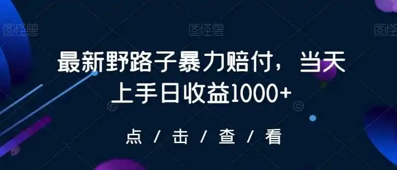 最新野路子暴力赔付，当天上手日收益1000+【仅揭秘】-科技美南博客