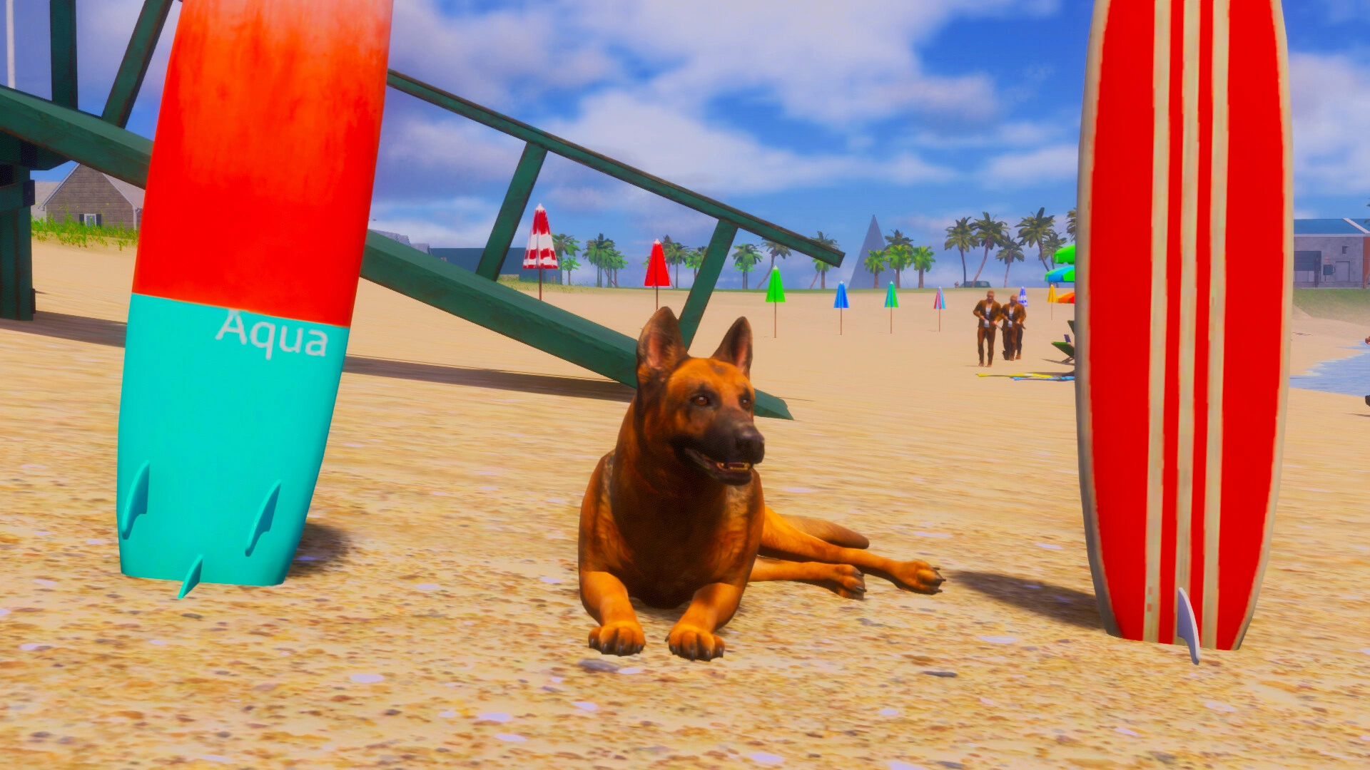 迷途狗爪/Lost Paws-科技美南博客