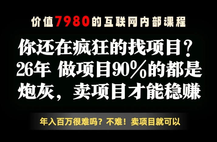 26年请不要疯狂的找项目了，卖项目远比你想象的暴利，你也可以月入10W+【揭秘】-科技美南博客
