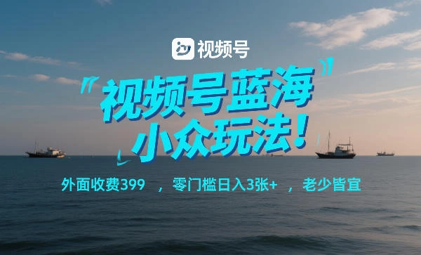 视频号蓝海小众玩法！外面收费399，零门槛日入3张+，老少皆宜-科技美南博客