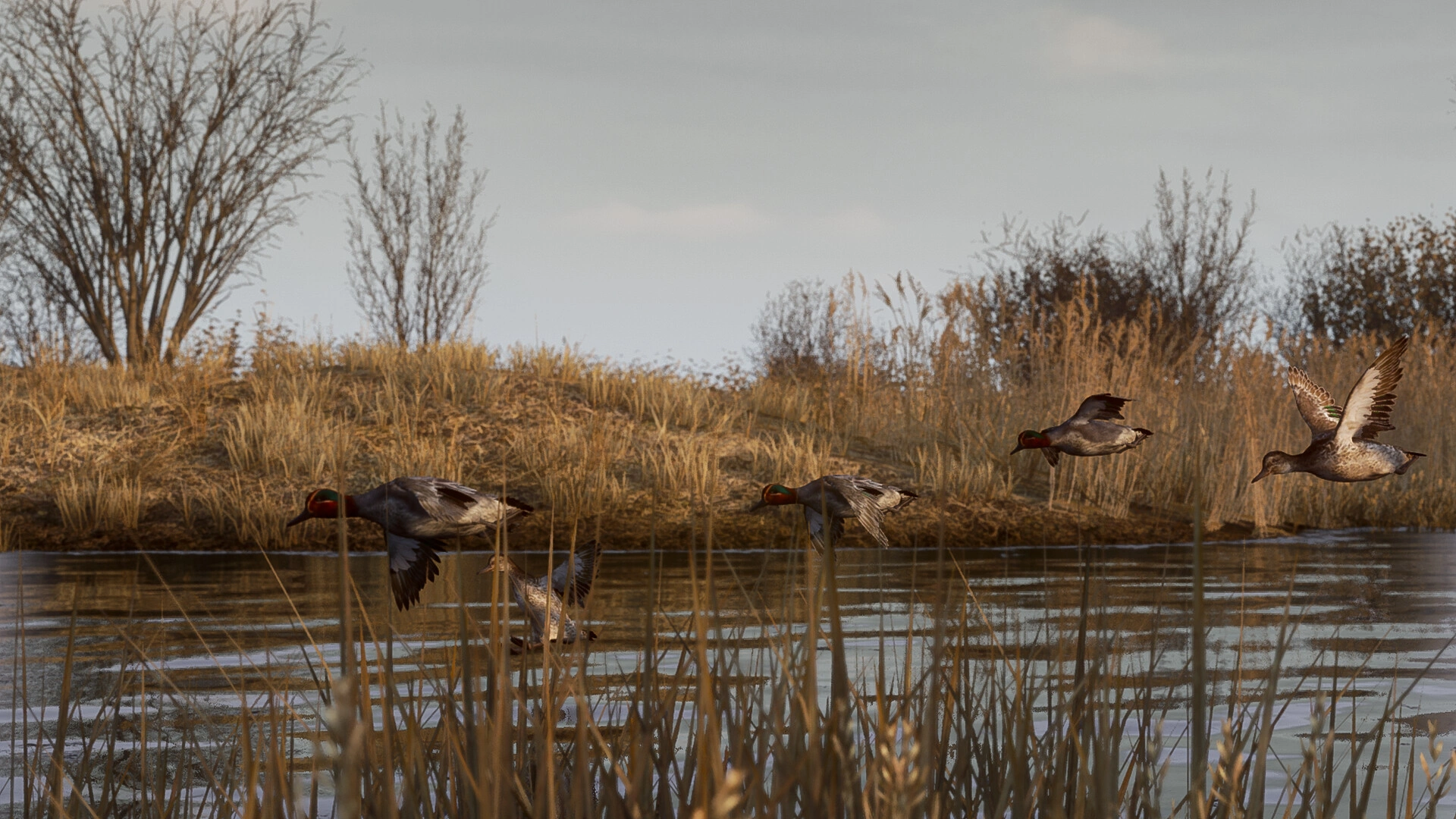 BULT：狩猎模拟器/BULT: Hunting simulator-科技美南博客