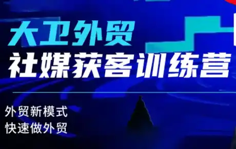 大卫老师·外贸社媒获客独家训练营(更新8月)-科技美南博客