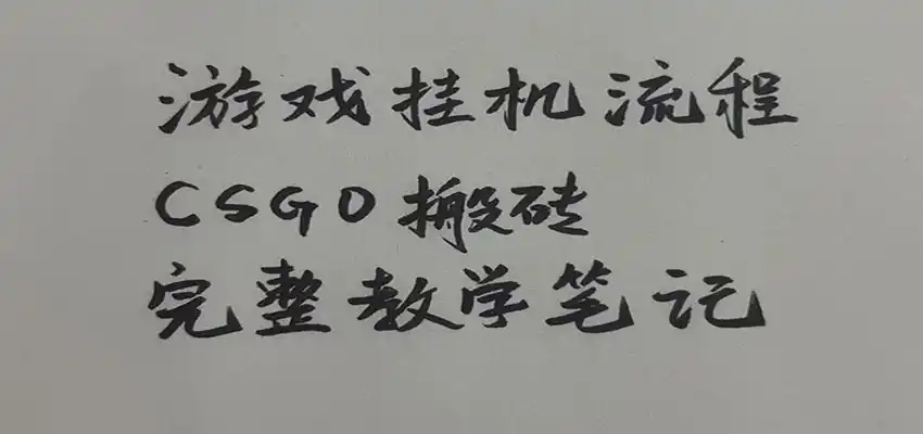 游戏挂机全流程笔记分享,CSGO游戏搬砖,小白看了当天学会见收益-科技美南博客
