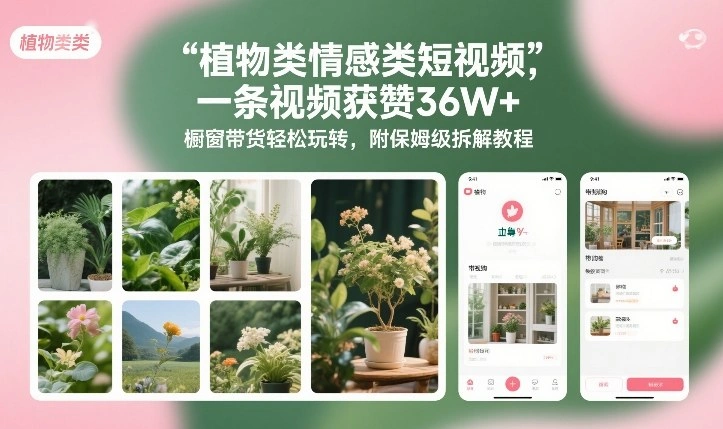 植物类情感类短视频，一条视频获赞36W+，橱窗带货轻松玩转，附保姆级拆解教程-科技美南博客