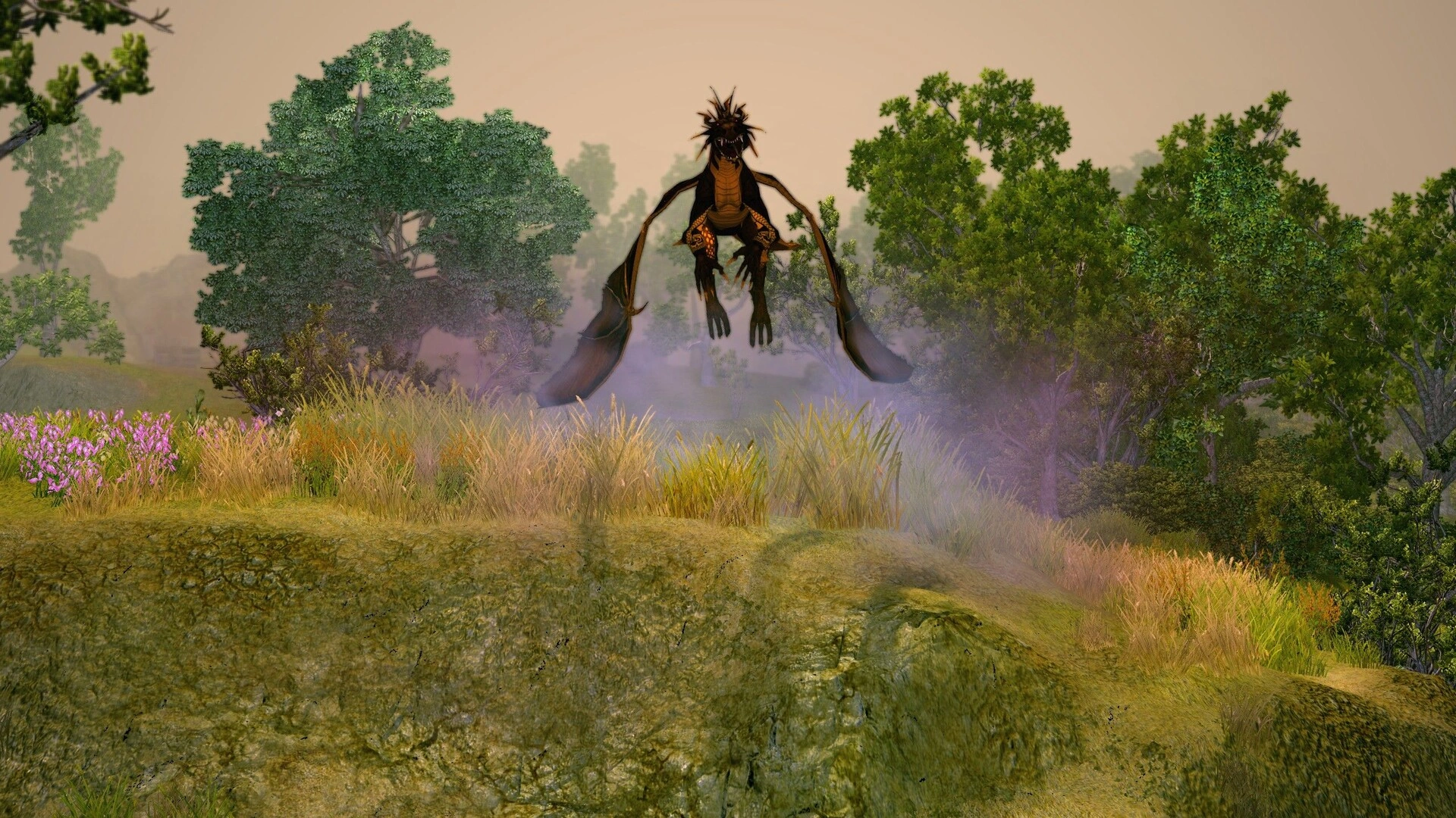 圣域2:重制版/Sacred 2 Remaster-科技美南博客