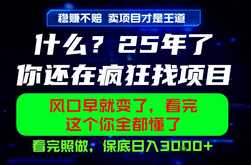 26年，请不要疯狂的找项目做了！卖项目才是真的稳賺不赔，看完照做，保底日入1k+【揭秘】-科技美南博客