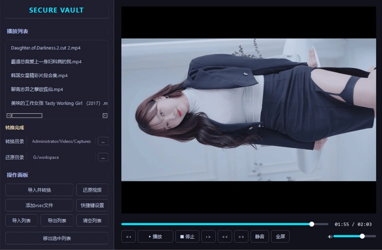 老司机隐私播放器SecureVault Player V0.8.9-科技美南博客