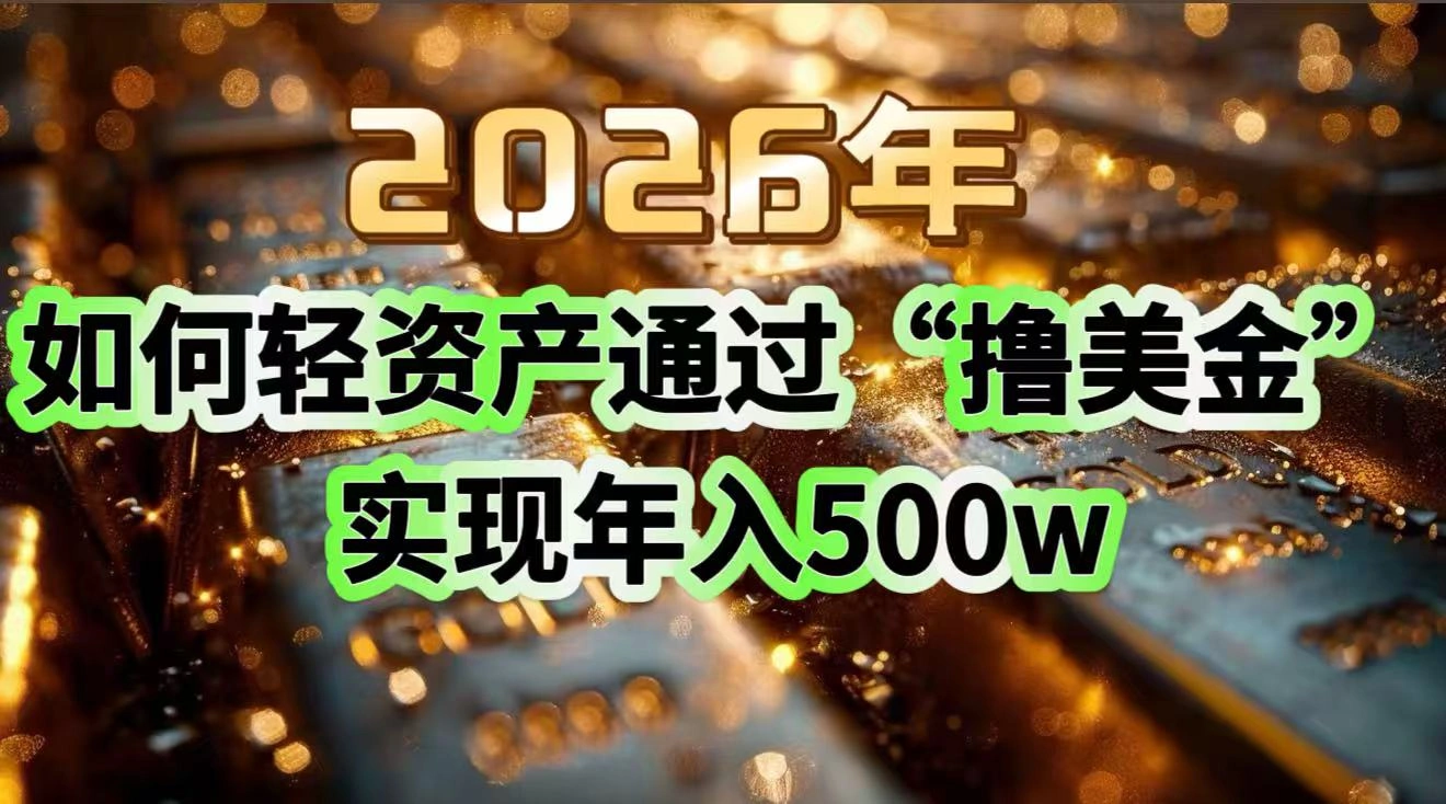 2026年如何轻资产通过“撸美金”实现年入500w-科技美南博客