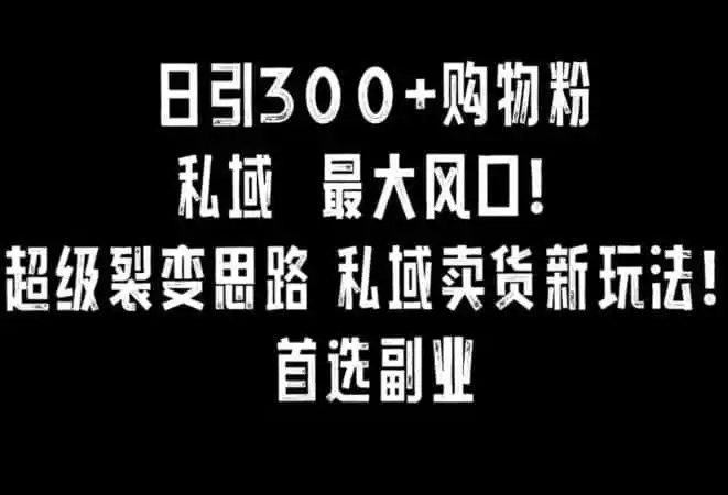 日引300+购物粉，超级裂变思路，私域卖货新玩法，小红书首选副业【揭秘】-科技美南博客