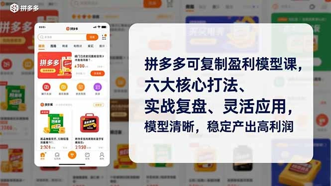 拼多多可复制盈利模型课，六大核心打法、实战复盘、灵活应用，模型清晰，稳定产出高利润-科技美南博客