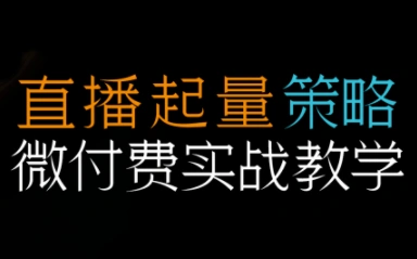 半野老师·直播带货起量与微付费必学课视频号-科技美南博客