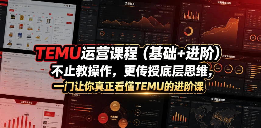 TEMU运营课程(基础+进阶)，不止教操作，更传授底层思维，一门让你真正看懂TEMU的进阶课-科技美南博客