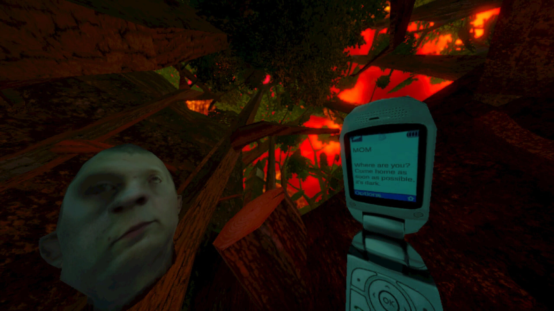 暴煞狂想2/Violent Horror Stories-科技美南博客